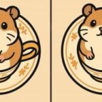 IQ-Test: Finde 3 Unterschiede in einem Bild von einem Hamster