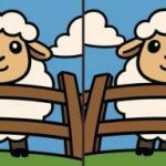 IQ-Test: Finde 3 Unterschiede in einem Bild von einem Schaf